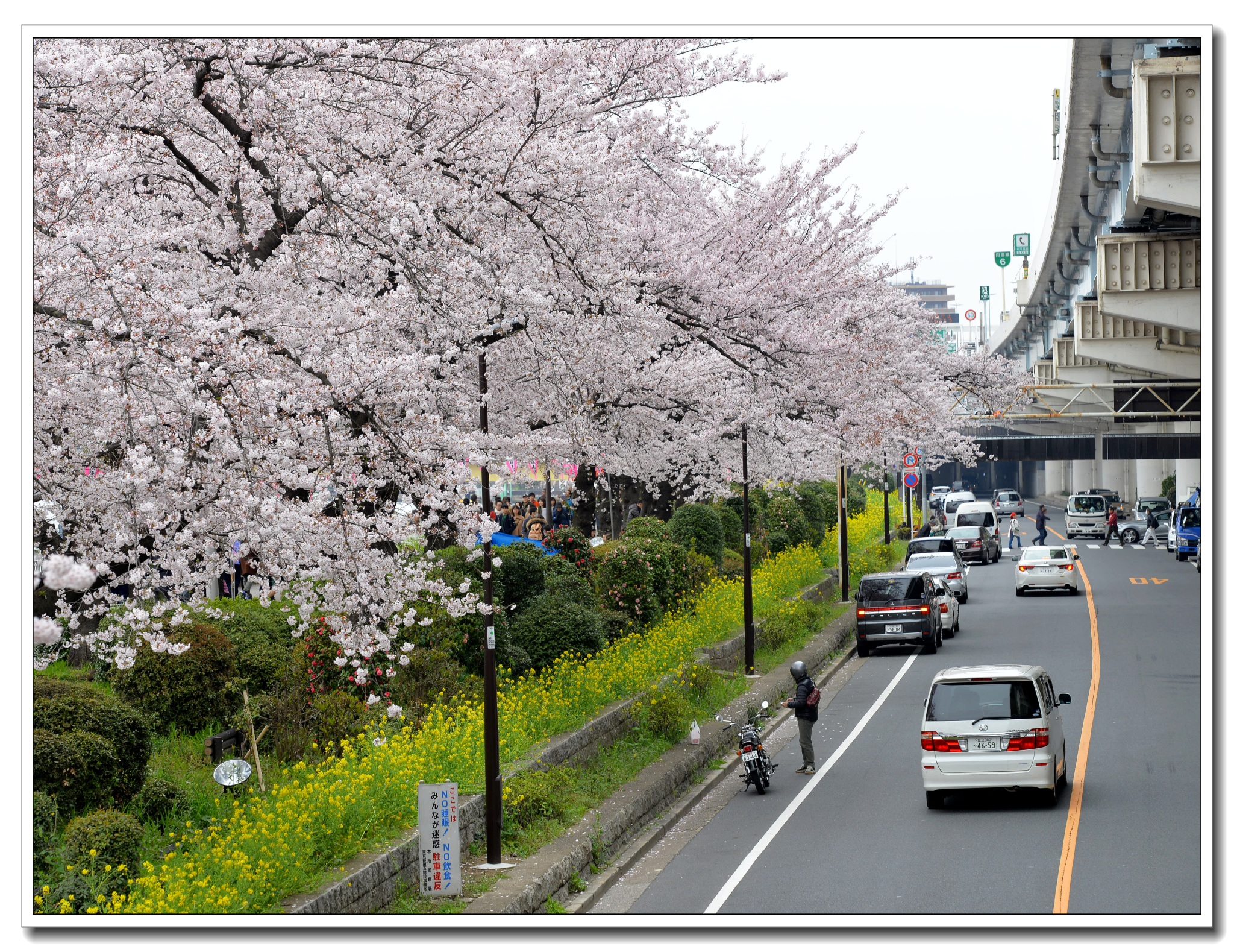 東京自助遊攻略