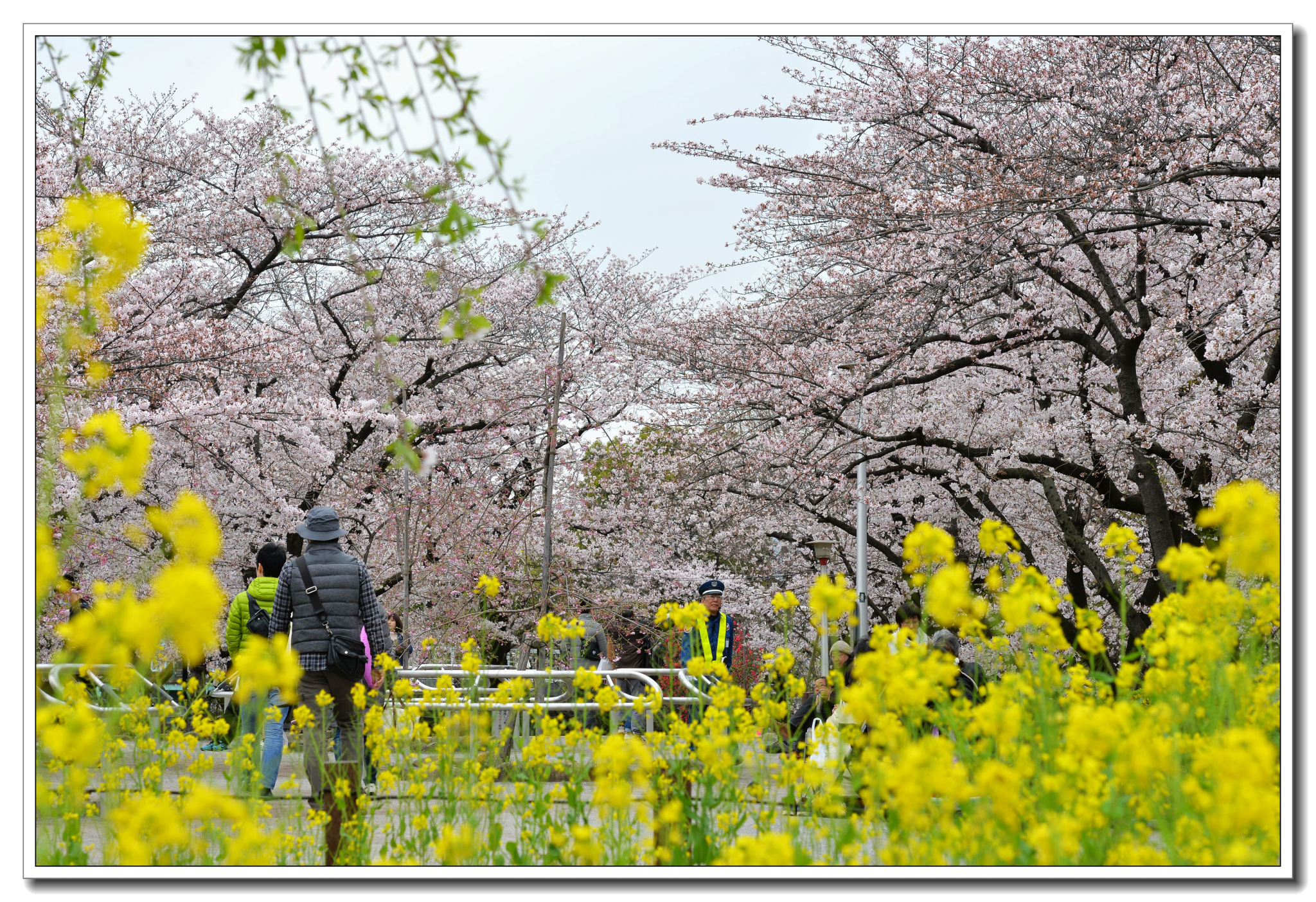 東京自助遊攻略