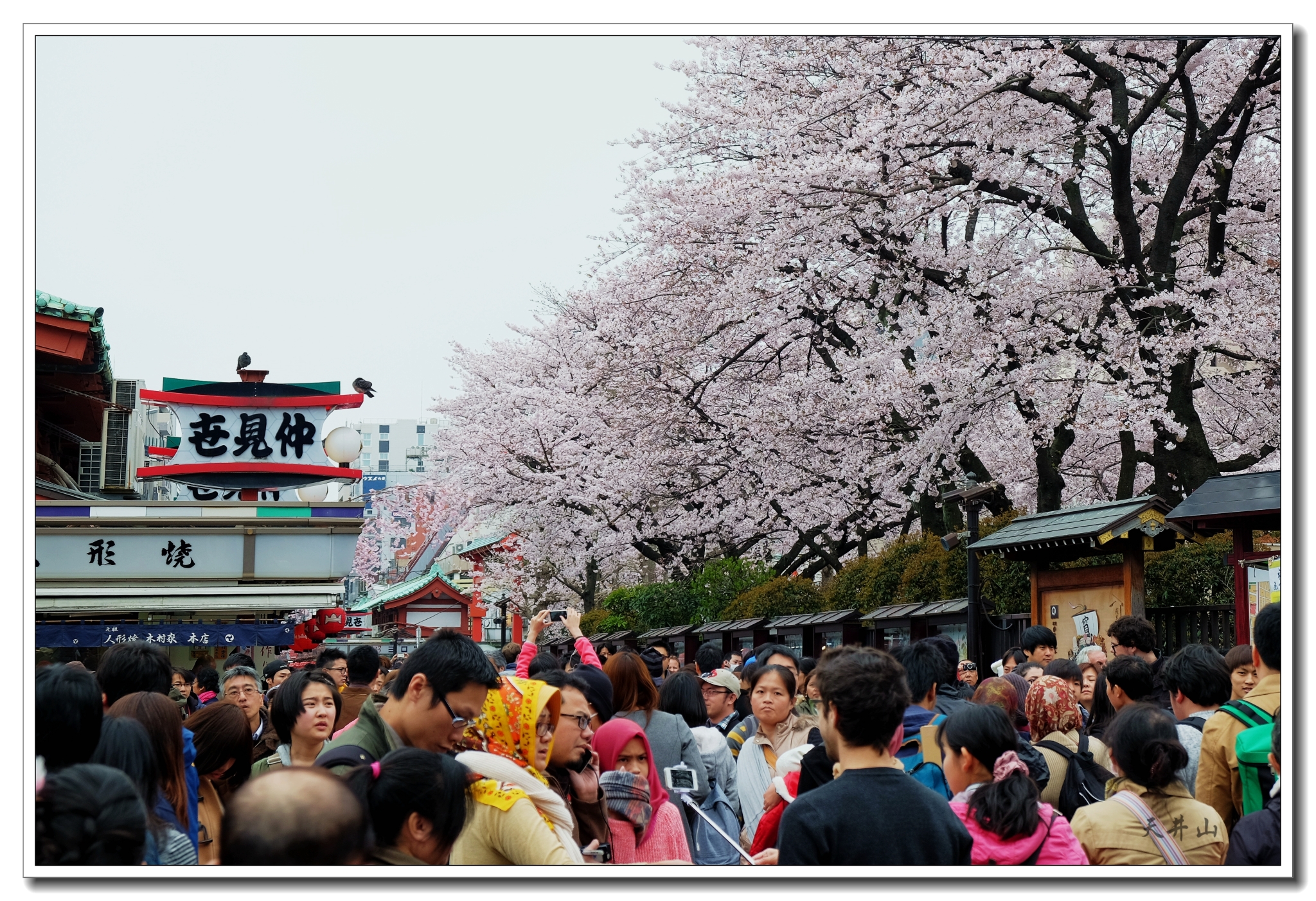 東京自助遊攻略