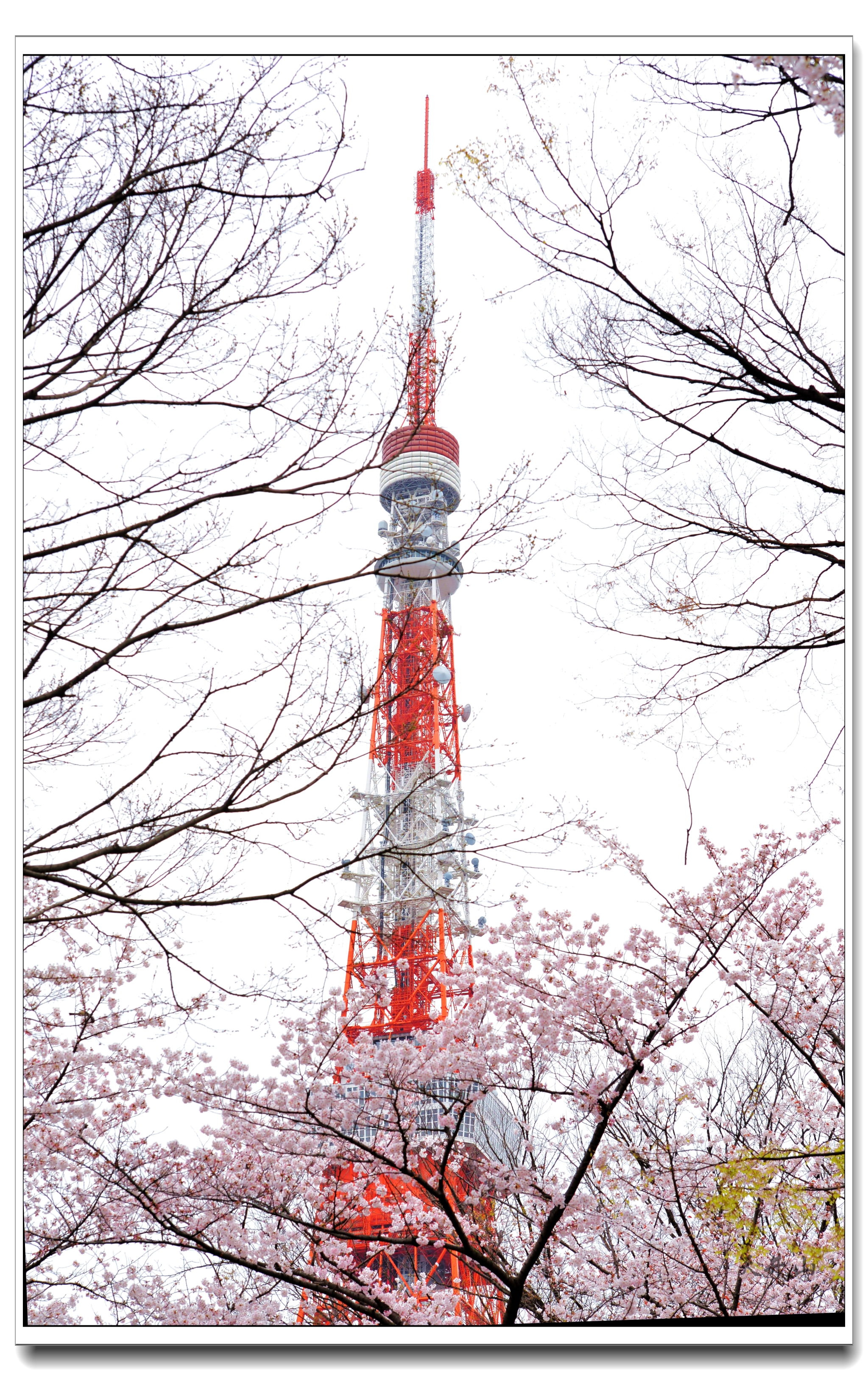 東京自助遊攻略