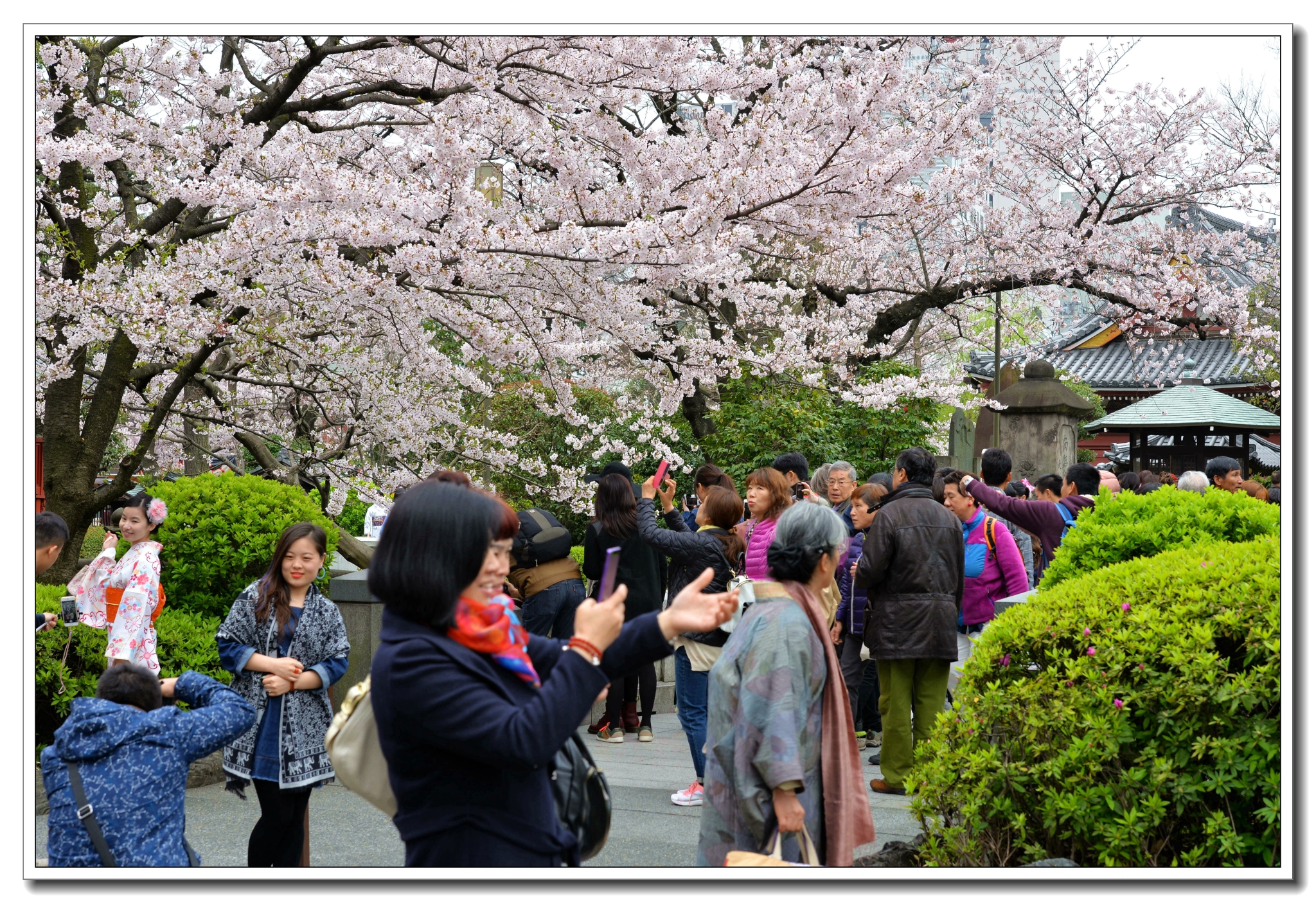 東京自助遊攻略