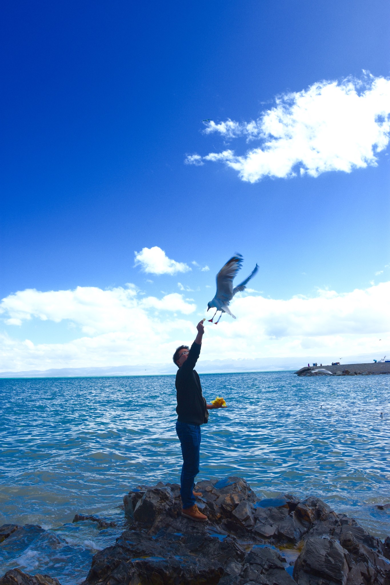 青海湖必玩景点图片