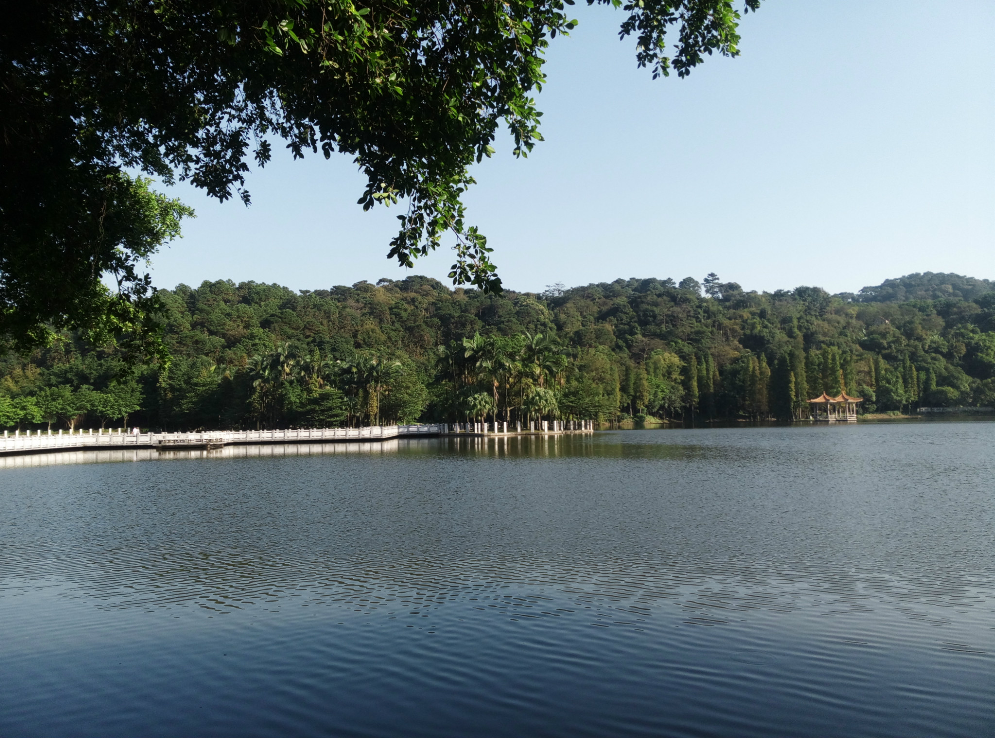 天湖公園前往天湖公園東門---白雲洞爬西樵山