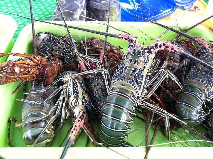 Ikan Bakar Pasar Malam Sinsuran