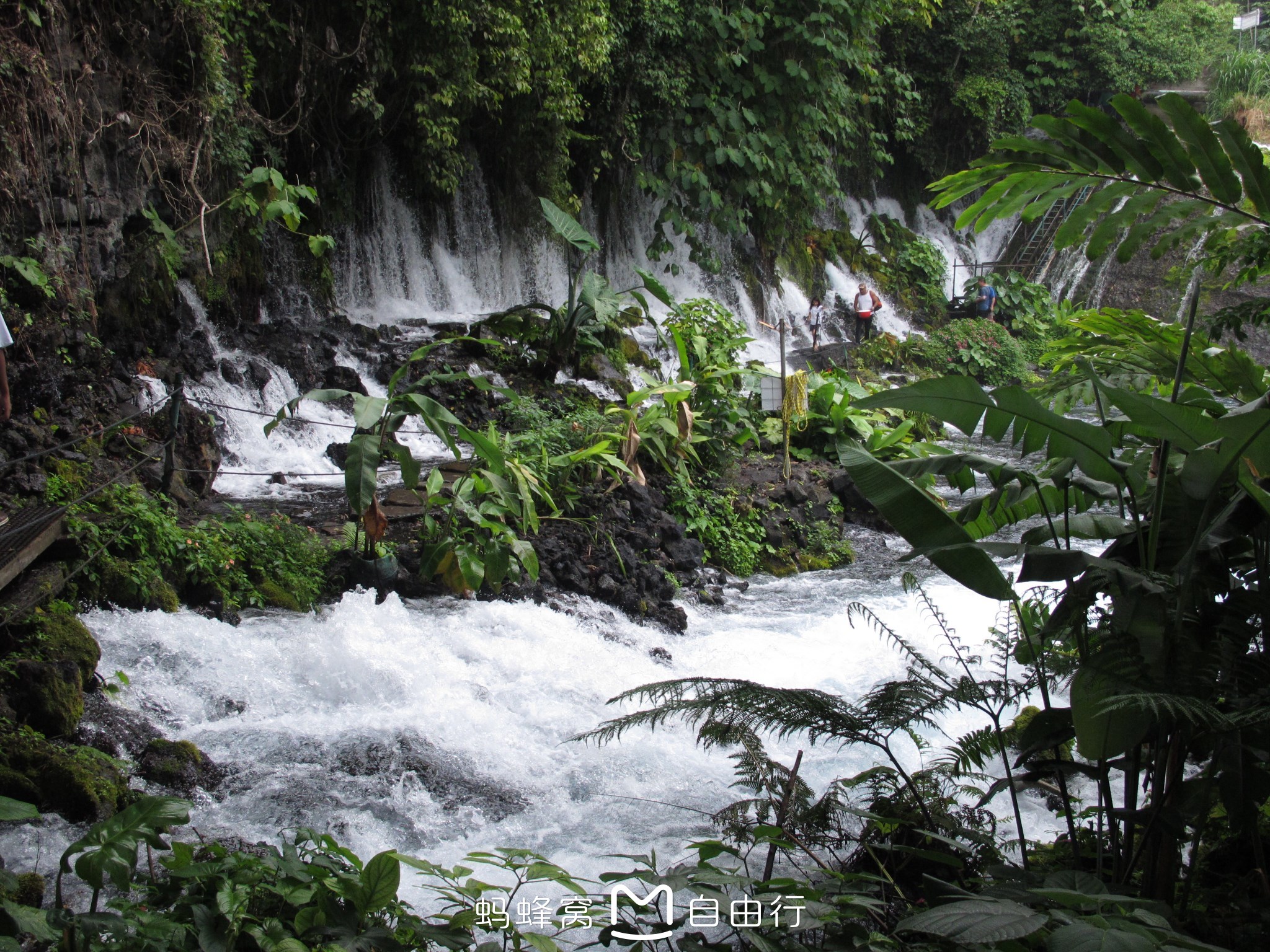 韋拉克魯斯自助遊攻略