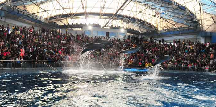 大連老虎灘海洋公園景點門票