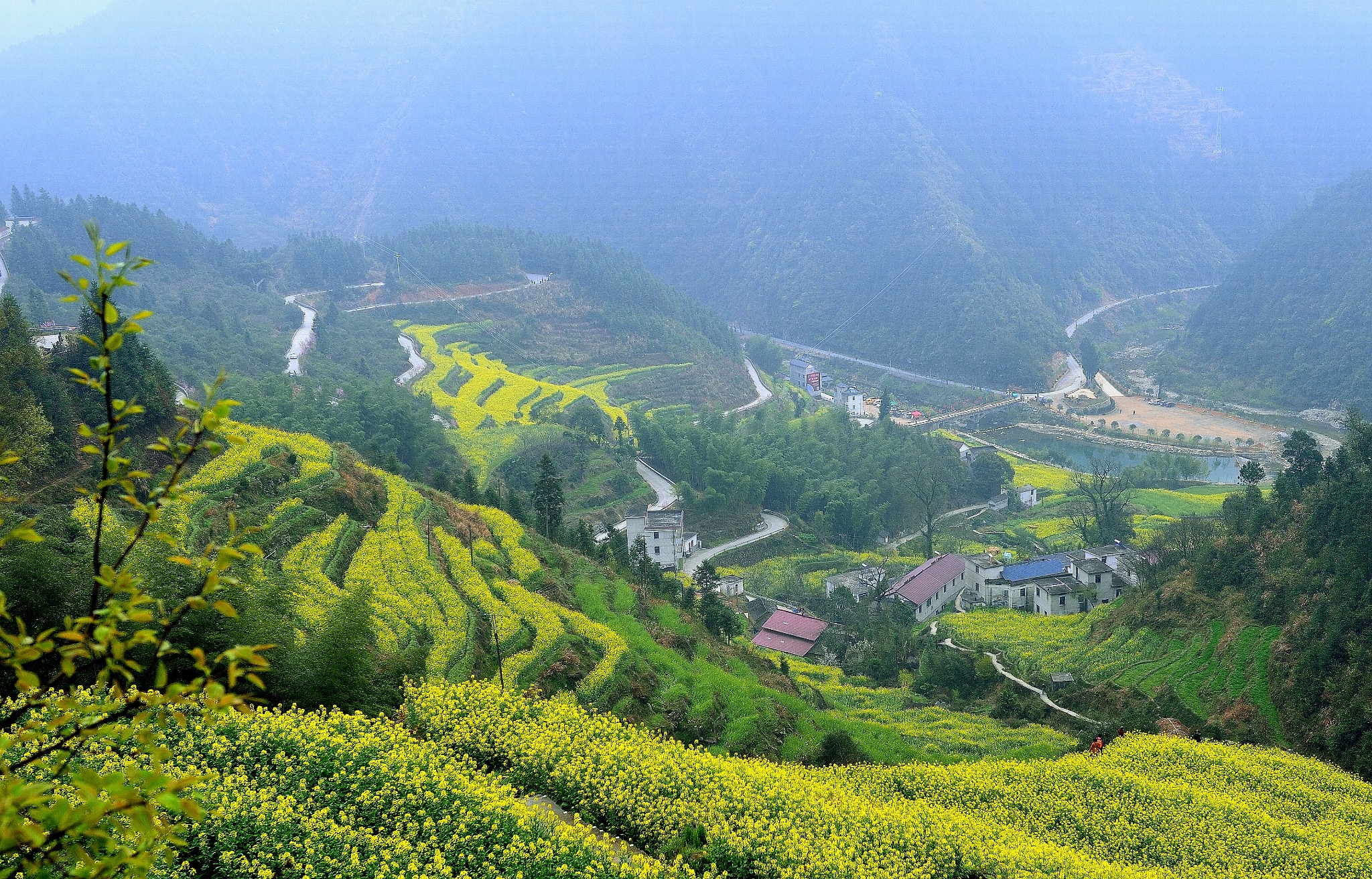 行摄春天—台回山,新安江山水画廊游记