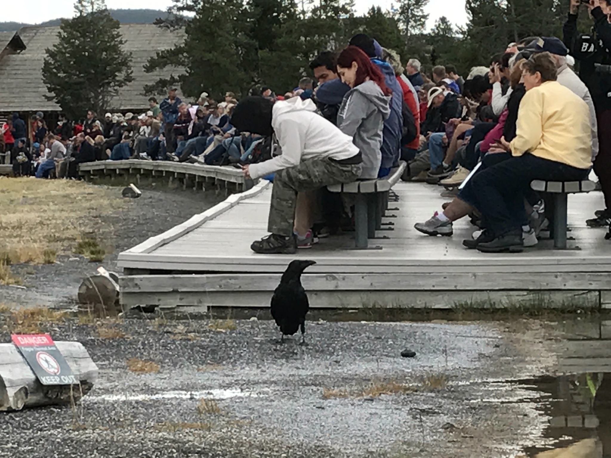 黃石國家公園自助遊攻略