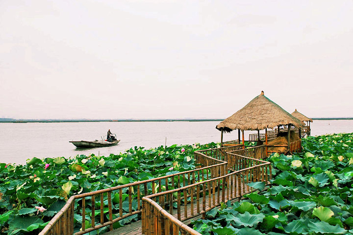 蘇州 陽澄湖蓮花島景點電子門票