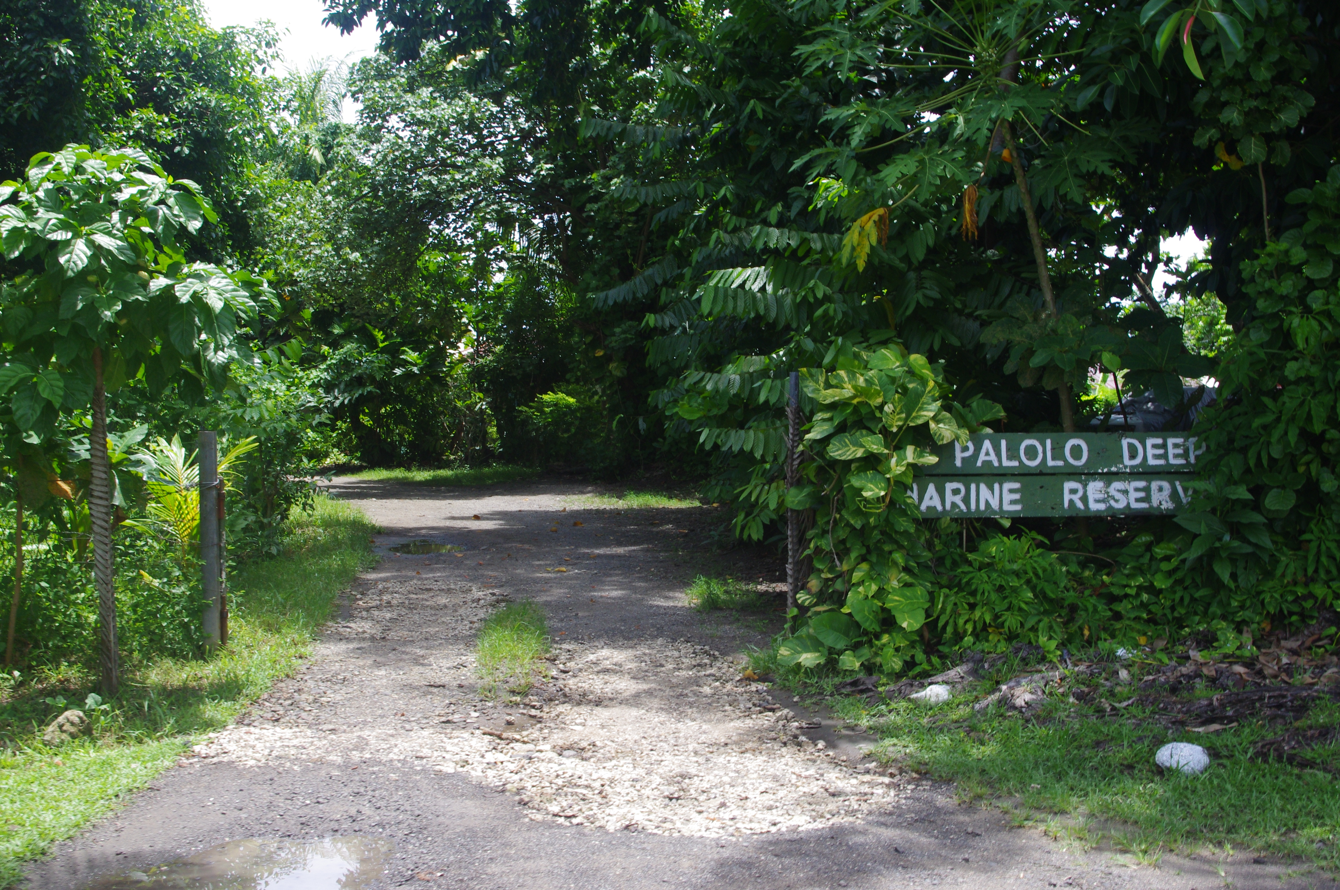 Palolo Deep MarineReserve