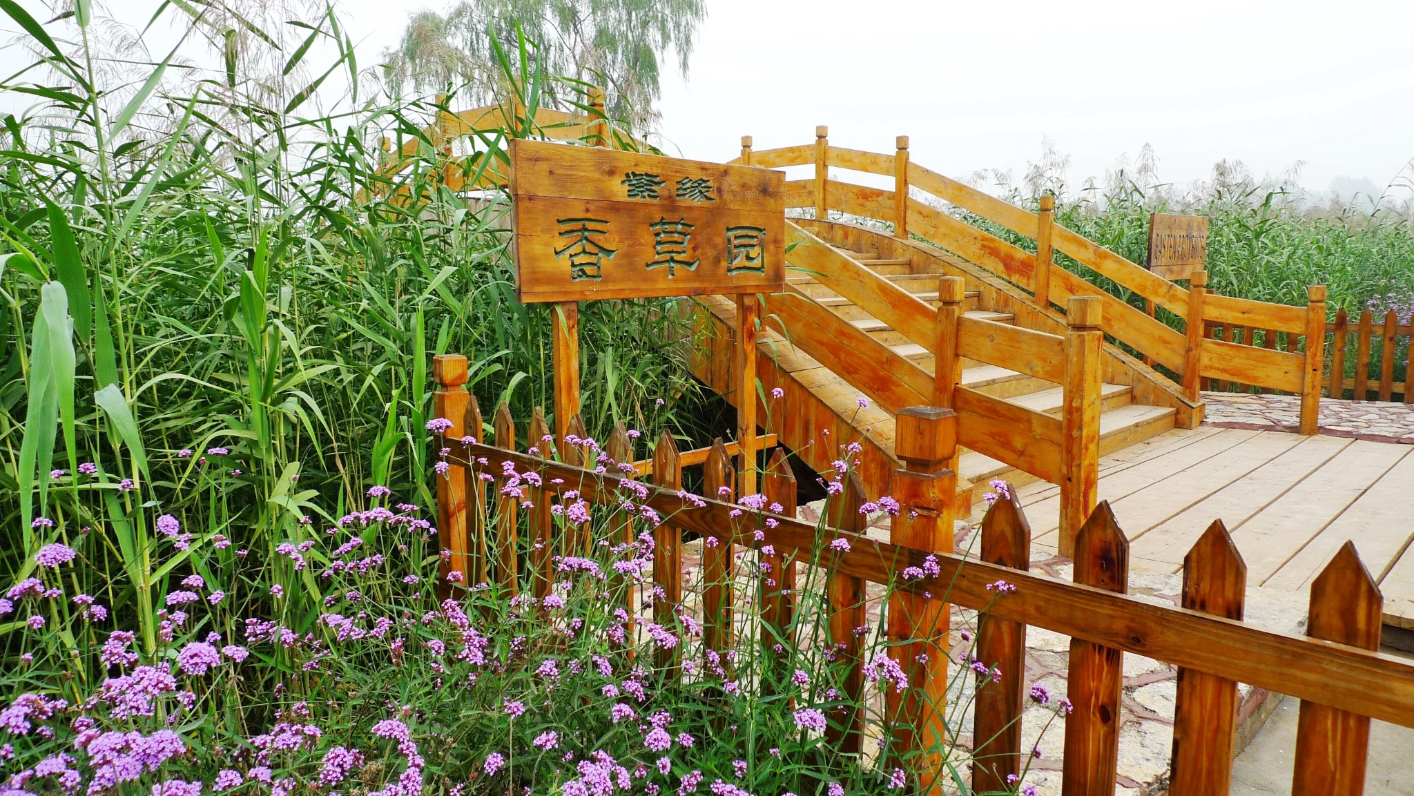 济南紫缘香草园的欢乐时光,济南旅游攻略 