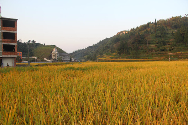 十一月出游好去处：楠溪江和雁荡山，你不能错过的旅游胜地