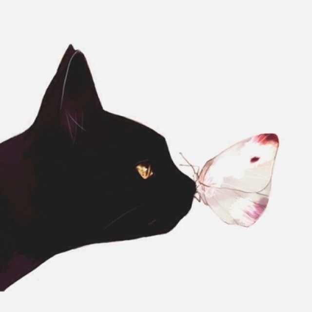 ??紫蘇