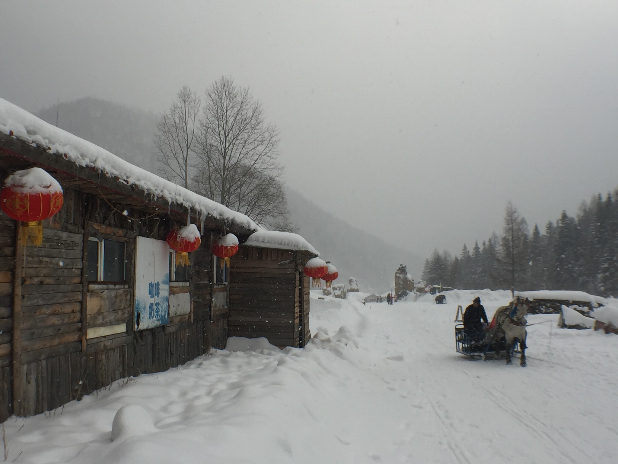 雪鄉自助遊攻略