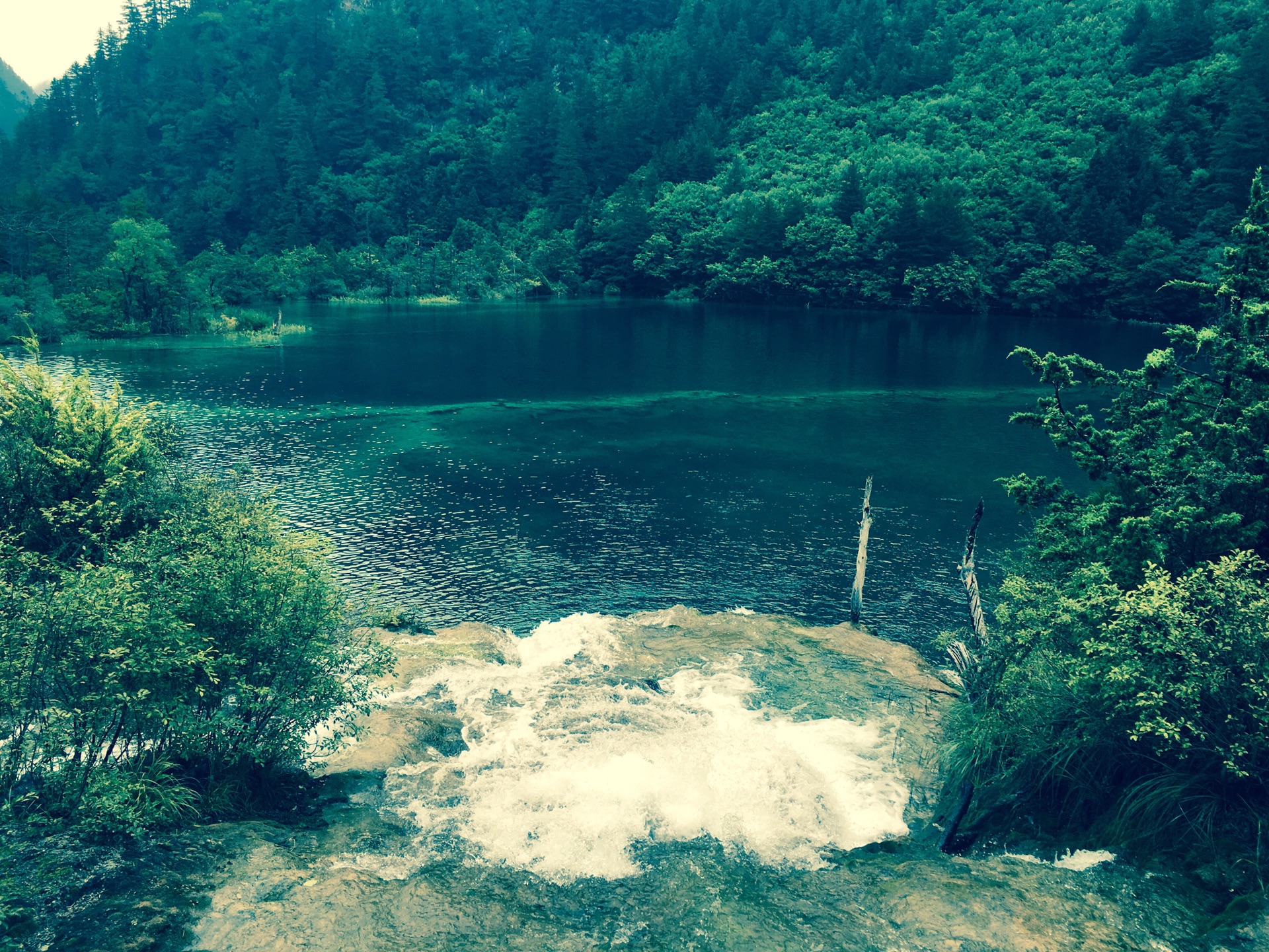 夢幻九寨溝旅行攻略記憶旅行四日遊