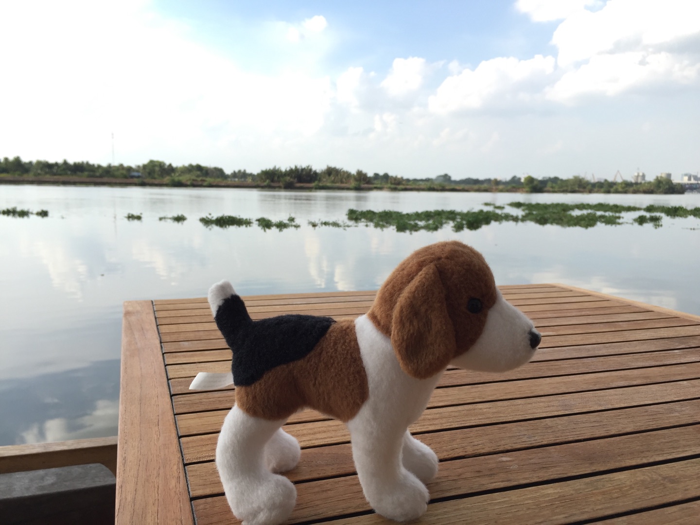 胡志明市美食-The Deck