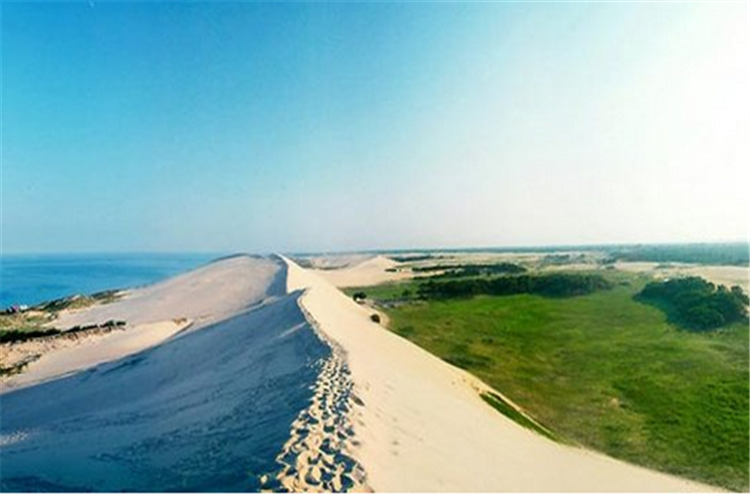 【秦皇岛景区门票】翡翠岛门票(赠送观光车)