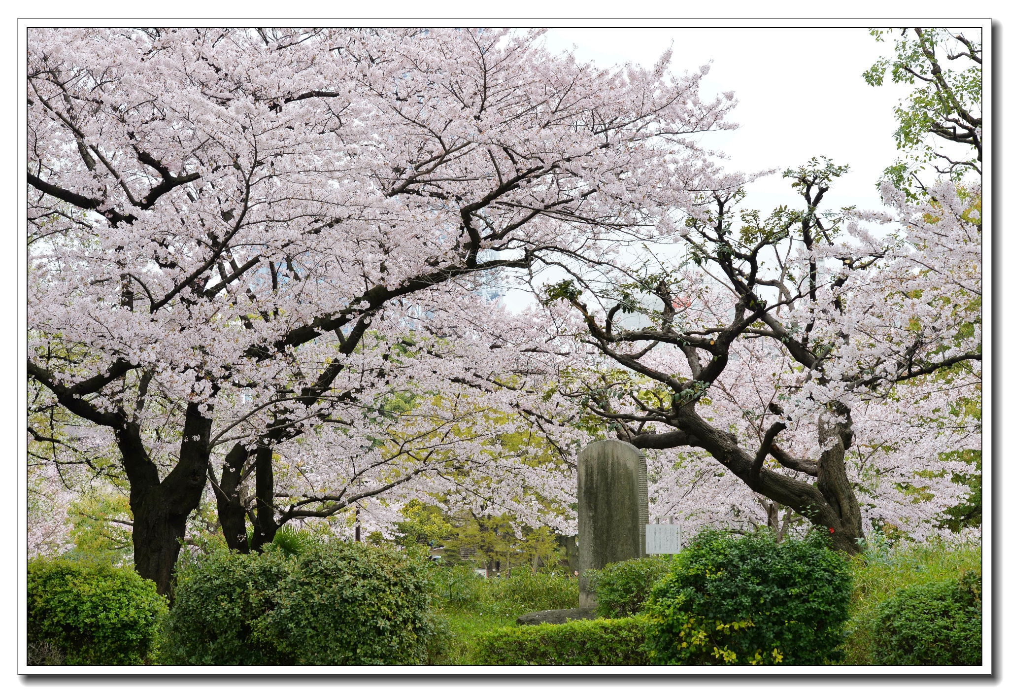 東京自助遊攻略