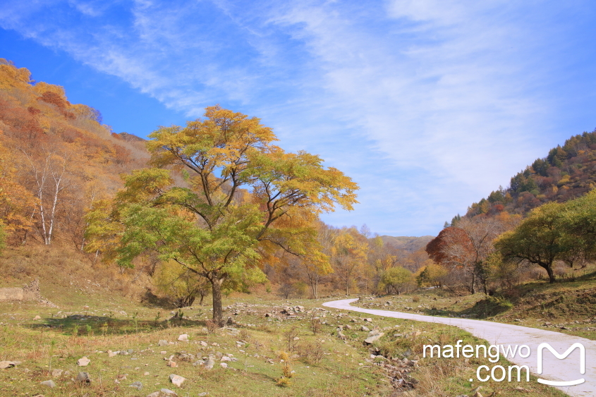 这里秋意正浓----赤城冰山梁及黑龙山