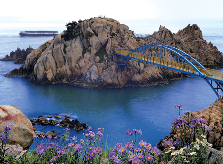 蔚山观光巴士美丽月色游