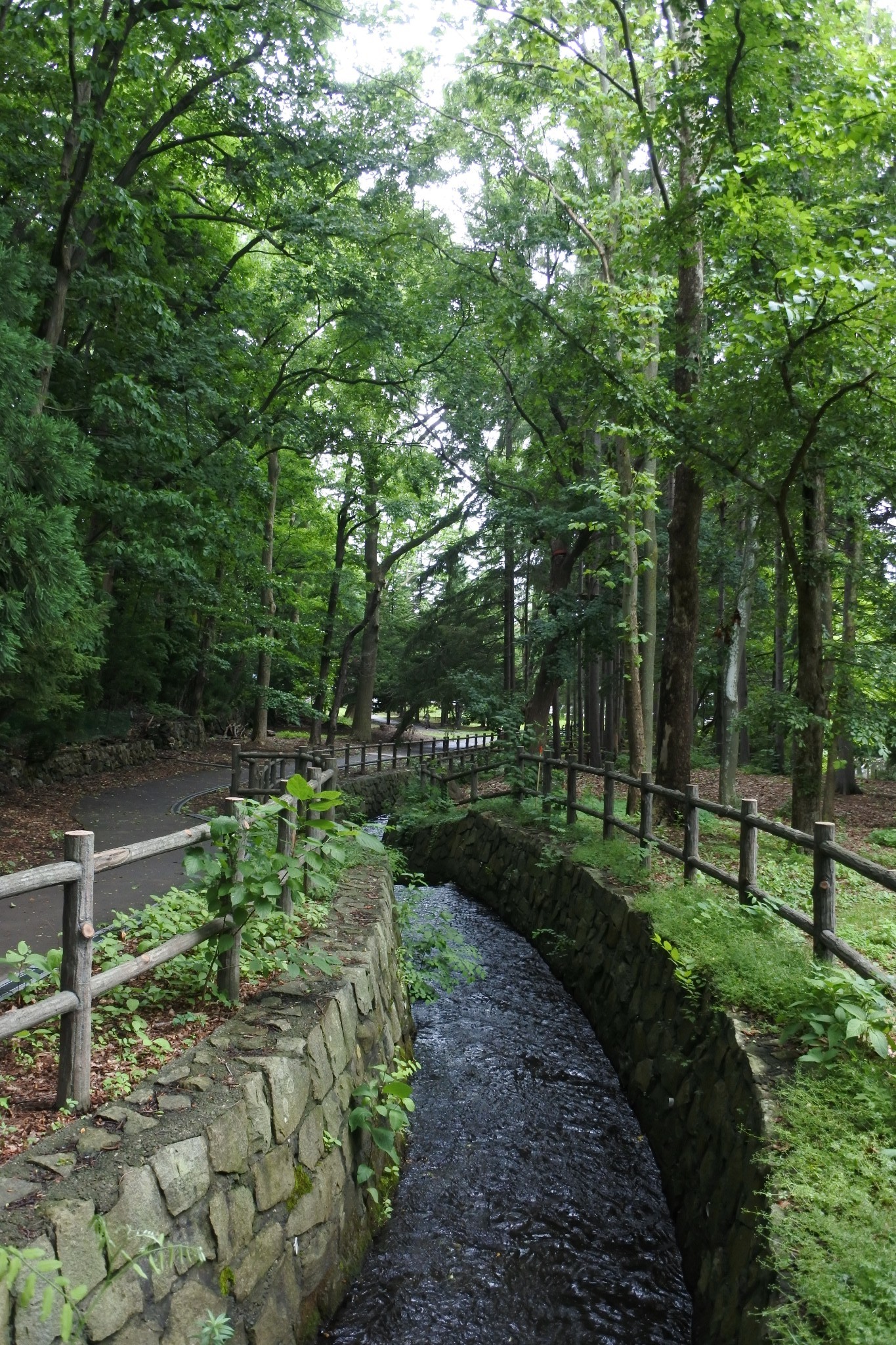 北海道自助遊攻略