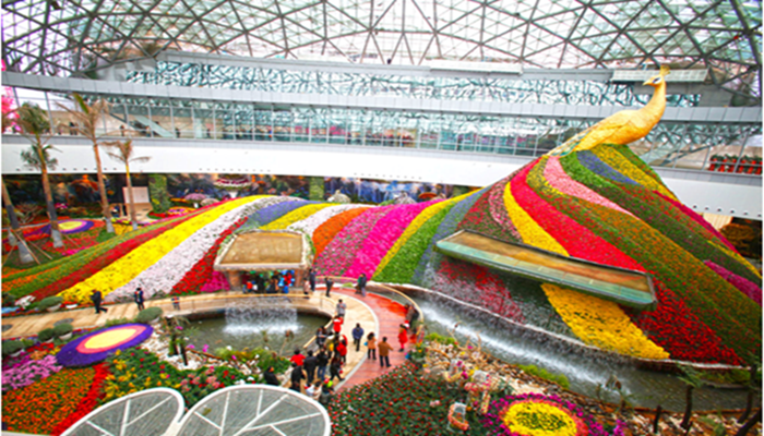 昆明花之城景点电子门票