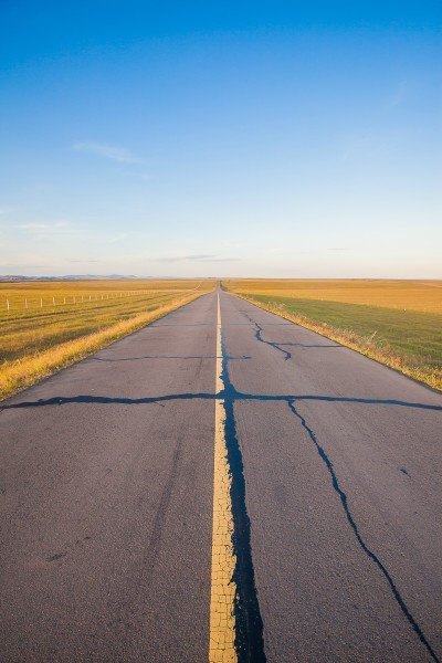 一群羊在主人的驱赶下,奔出一路灰尘,被夕阳照映的独有一番景色.