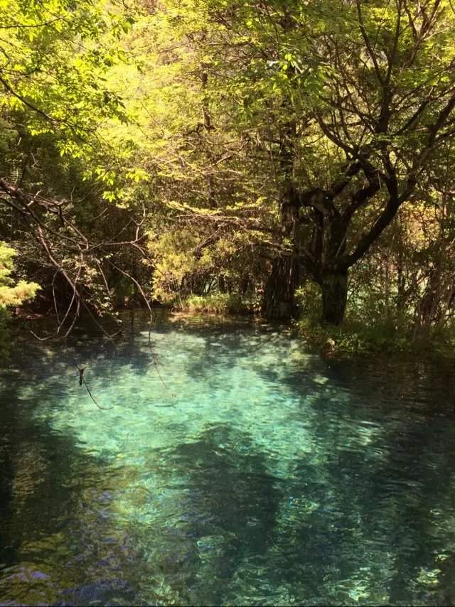 6月22日 徐州——成都.九寨溝,成都旅遊攻略 - 馬蜂窩