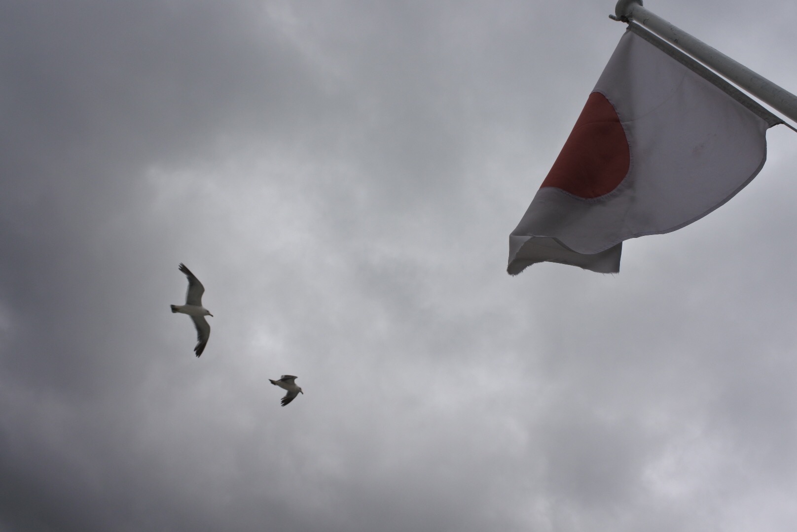 北海道自助遊攻略