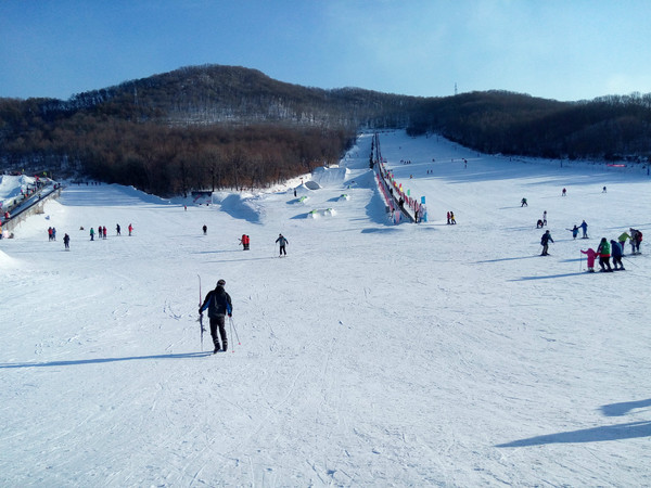 鸣山绿洲滑雪场是苏图片