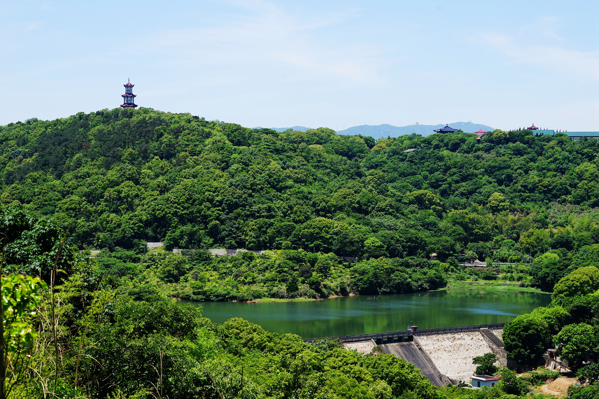 普陀山自助遊攻略