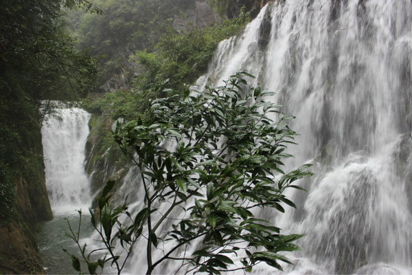 初至石泉