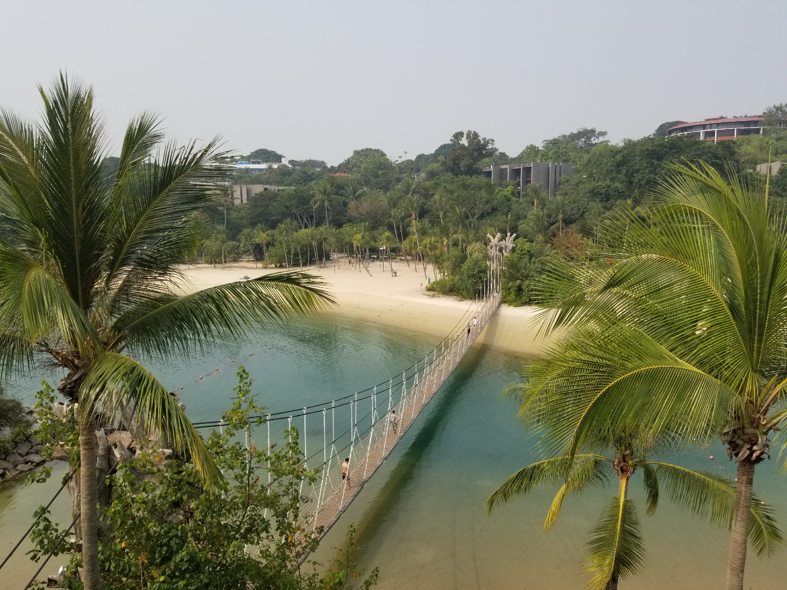 新加坡美食-fruit tart shop & cafe