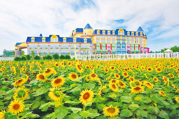 深圳出发玩转城中天然氧吧泉眼温泉畅游石头王国中山石博宇宙城百万