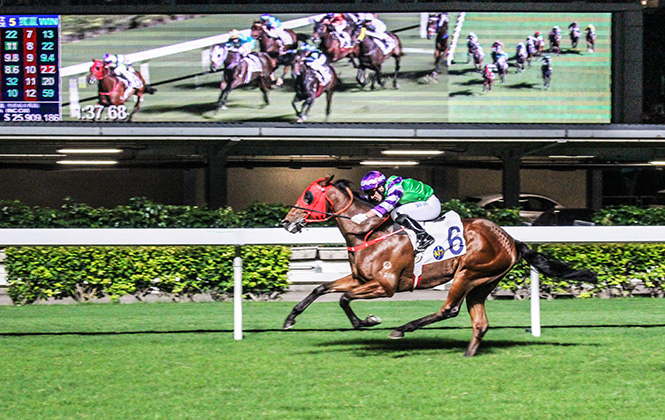 香港賽馬澳門賽狗