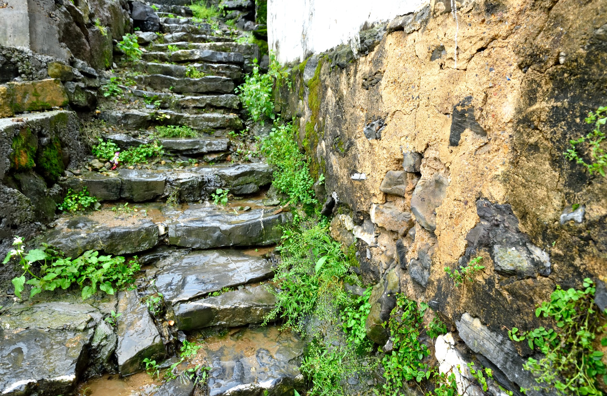 千島湖自助遊攻略