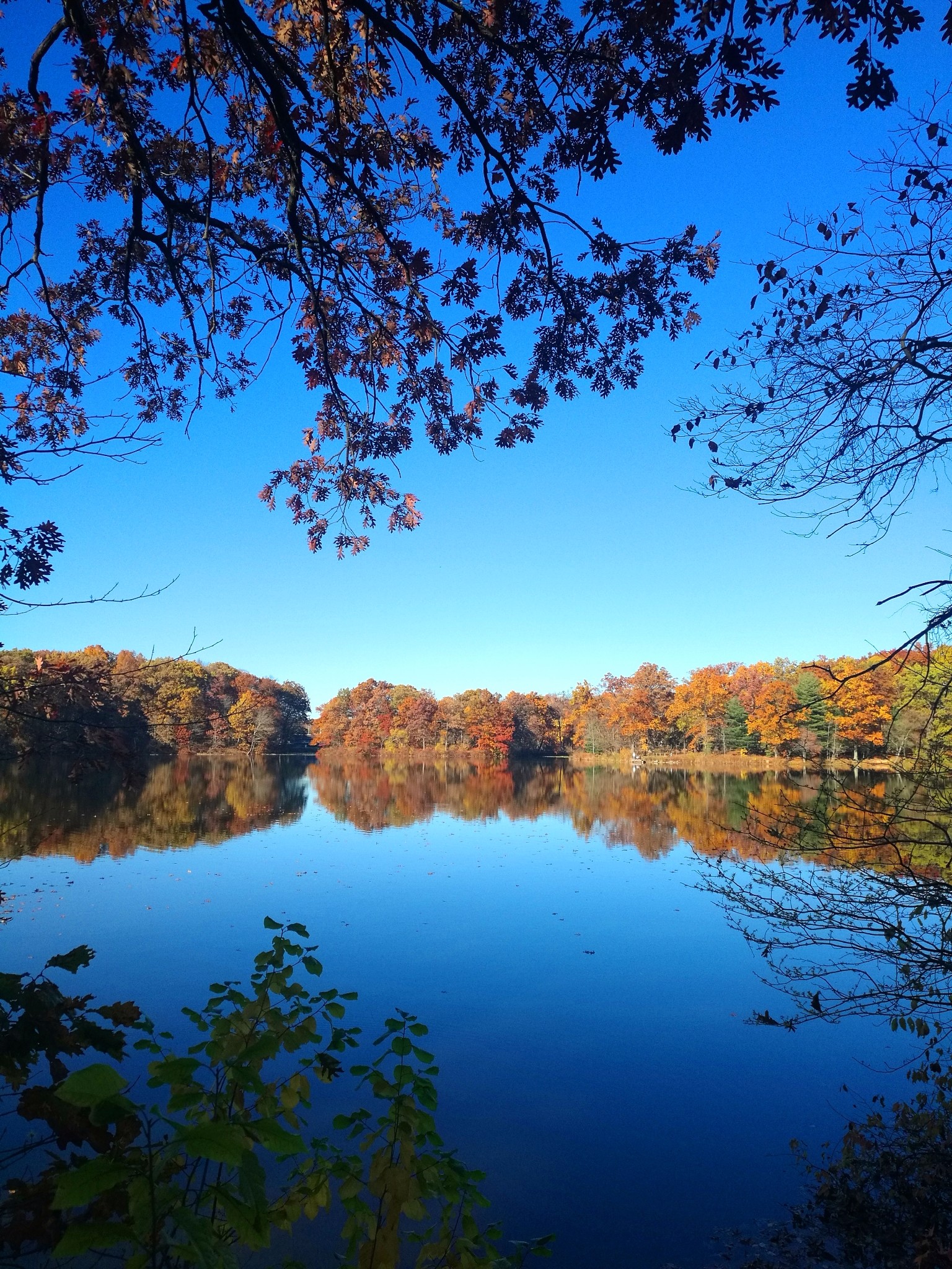 美国俄亥俄州goodyearpark之秋色