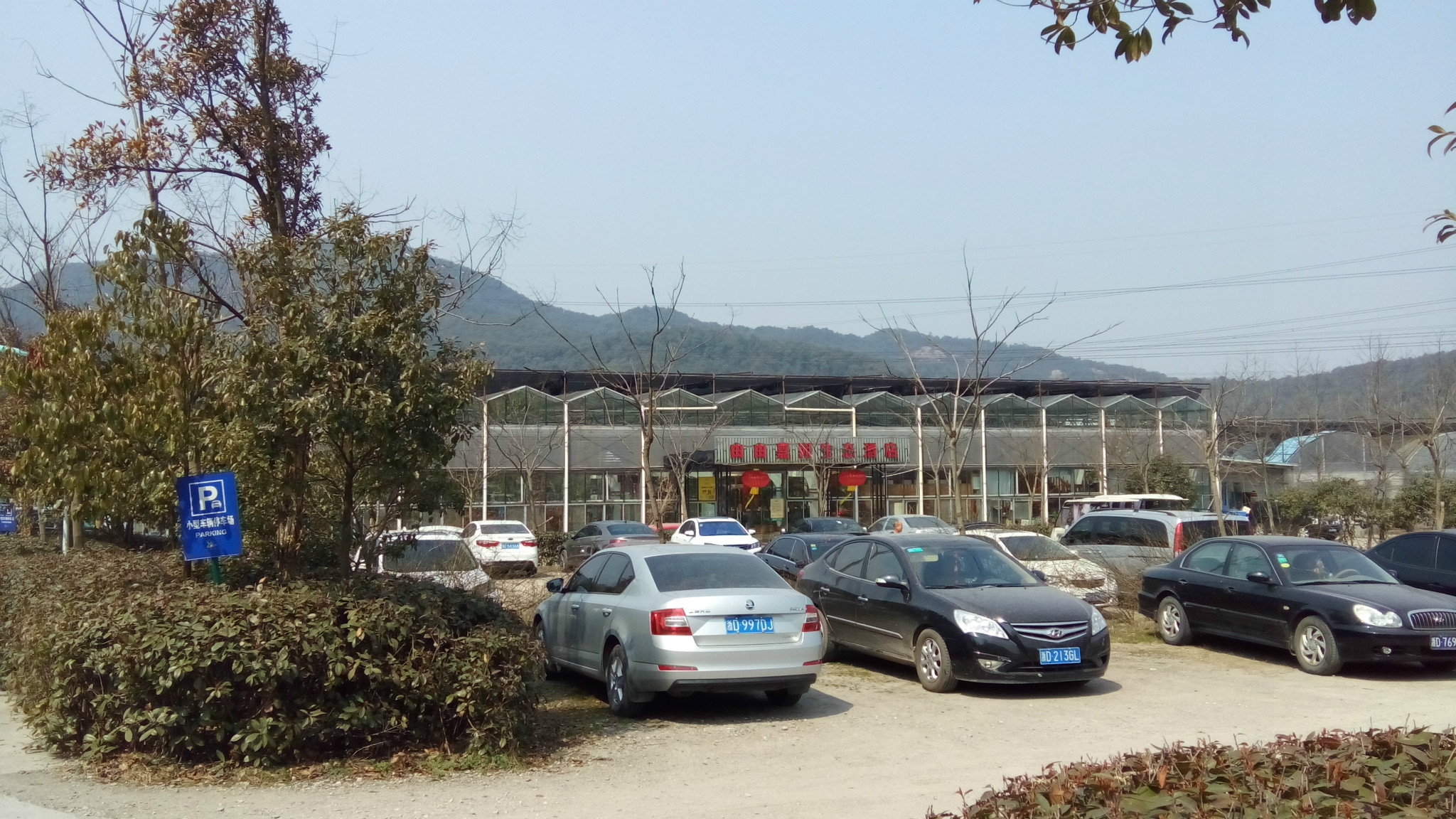 绍兴富盛由由嘉园中午秒游