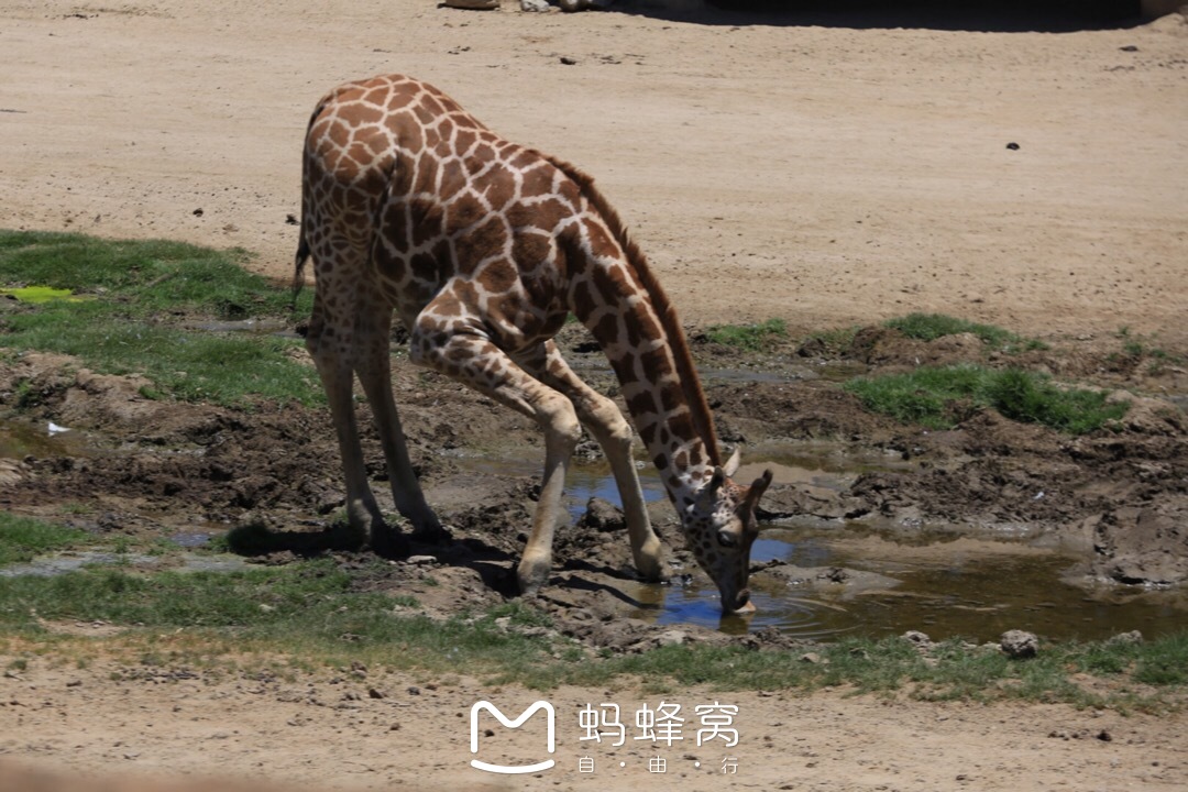 聖地亞哥自助遊攻略