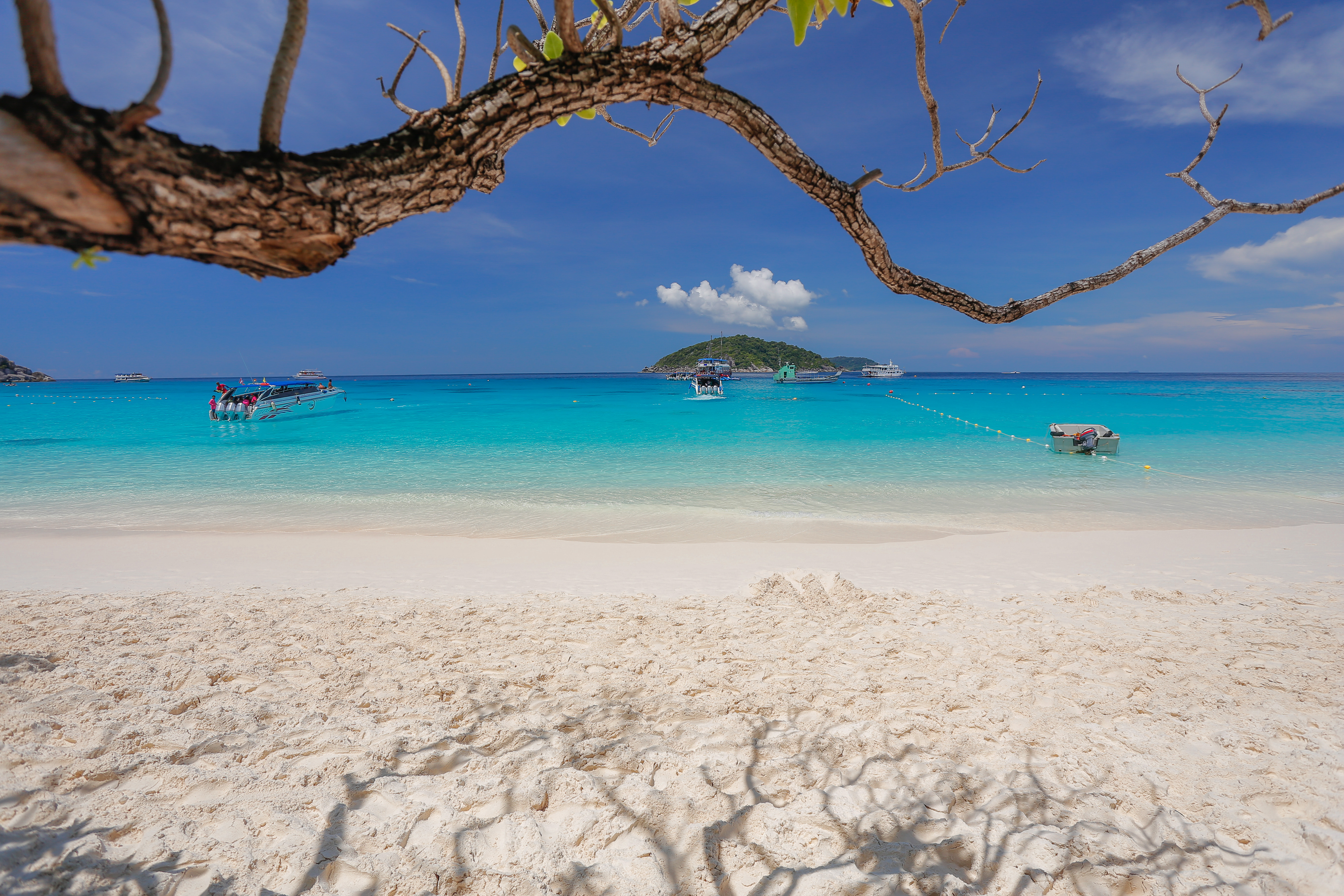 普吉岛 斯米兰岛 ·浮潜 sea star 合金快艇一日游(三大海滩免费接送