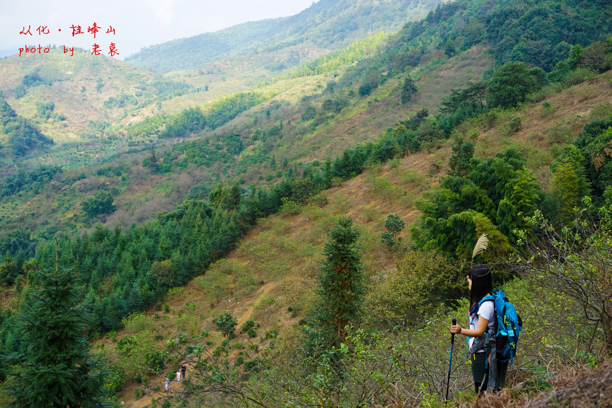 從化十登之三:桂峰山圖片167,從化旅遊景點,風景名勝 - 馬蜂窩圖庫