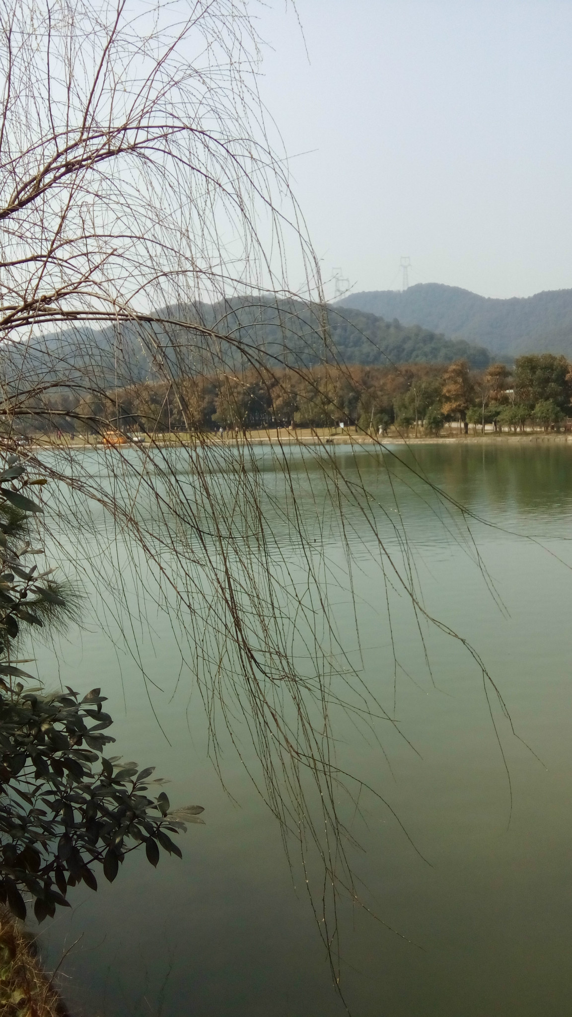 绍兴富盛由由嘉园中午秒游