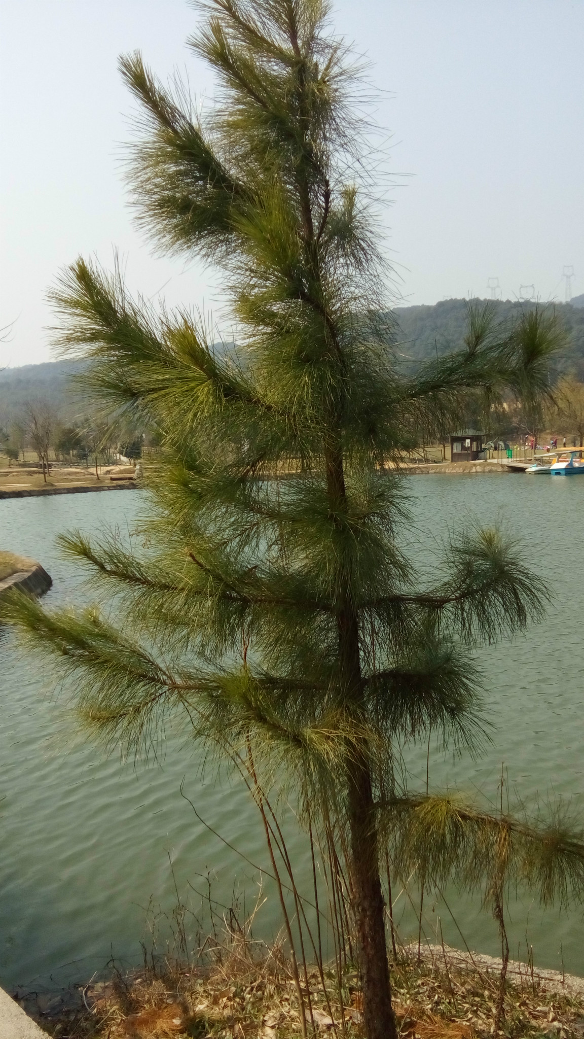 绍兴富盛由由嘉园中午秒游